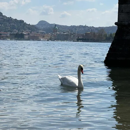 Portatorre Suite, A Charming In The Heart Of Como, Free Private Parking, Air Conditioning & More! Côme