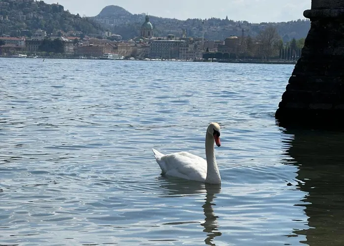 Portatorre Suite, A Charming In The Heart Of Como, Free Private Parking, Air Conditioning & More! Como